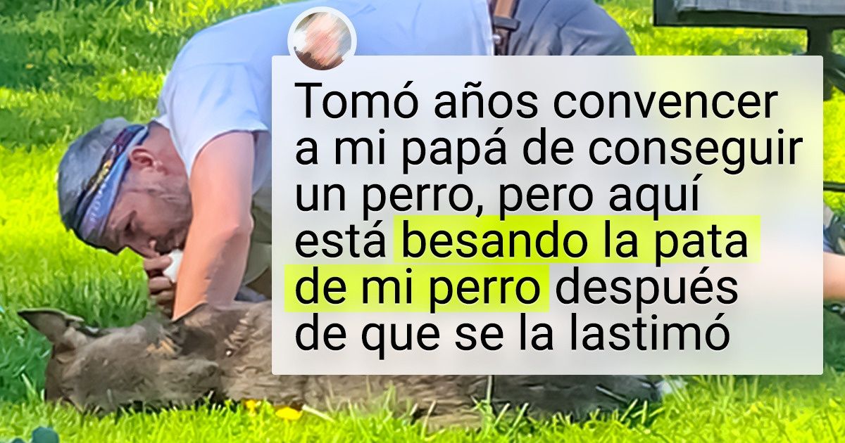 20 Hombres que no querían tener mascotas, pero no pudieron resistirse a su ternura 20 Hombres que no querían tener mascotas, pero no pudieron resistirse a su ternura