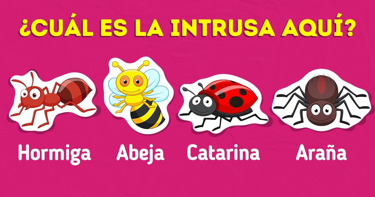 Test: ¿Puedes descubrir cuál es el intruso en menos de 7 segundos?