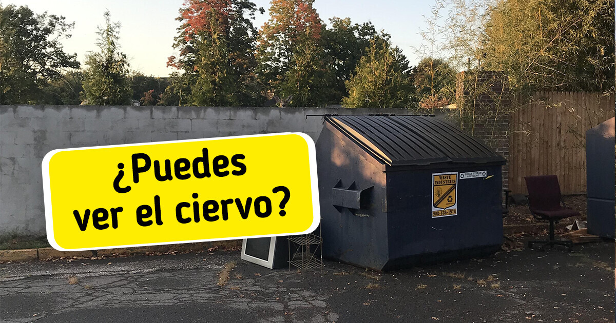 Test: Encuentra los objetos escondidos y comprueba si puedes detectar lo que otros no ven Test: Encuentra los objetos escondidos y comprueba si puedes detectar lo que otros no ven