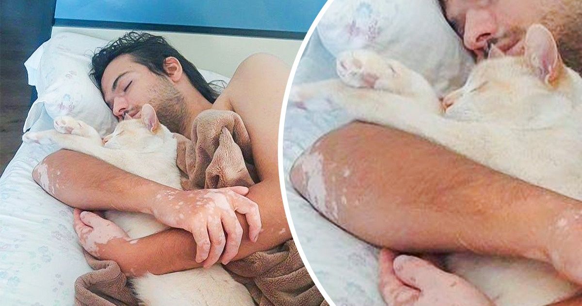 25 Hocicos tiernos que no pueden vivir sin sus humanos y los siguen vayan donde vayan