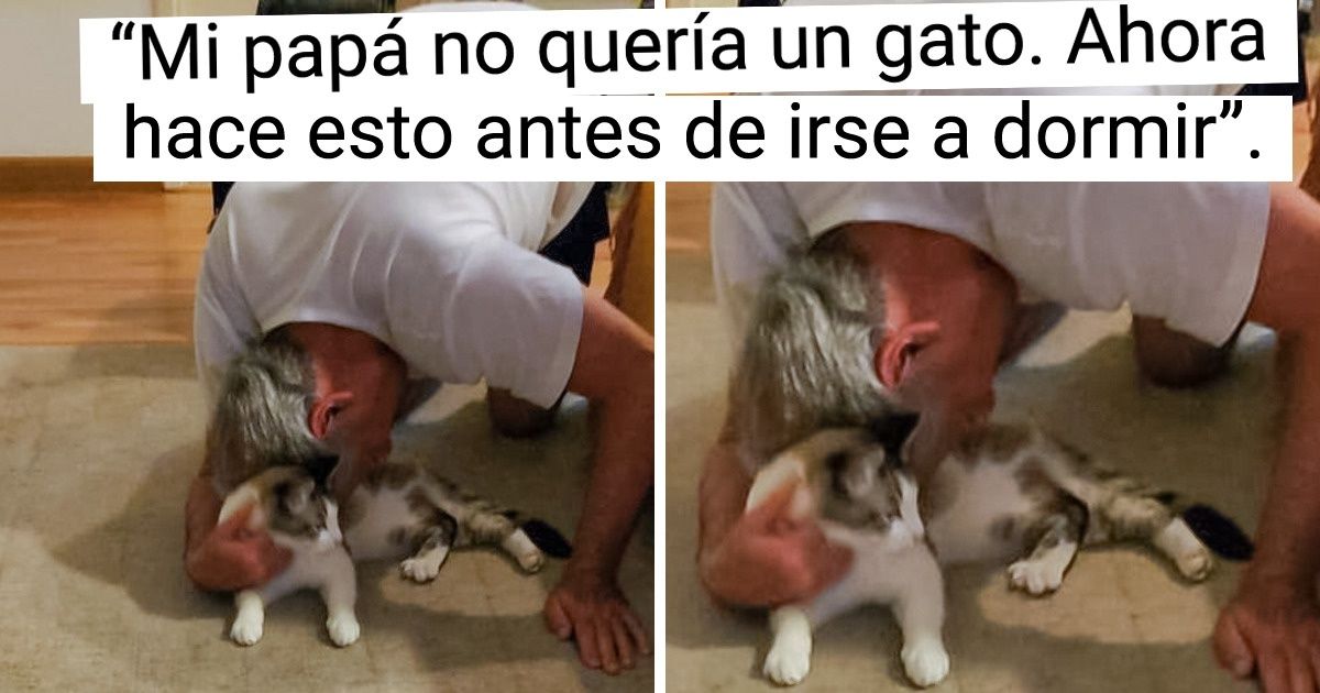 20+ Personas que tenían una larga lista de excusas para no tener una mascota y ahora que la tienen la tratan como un hijo