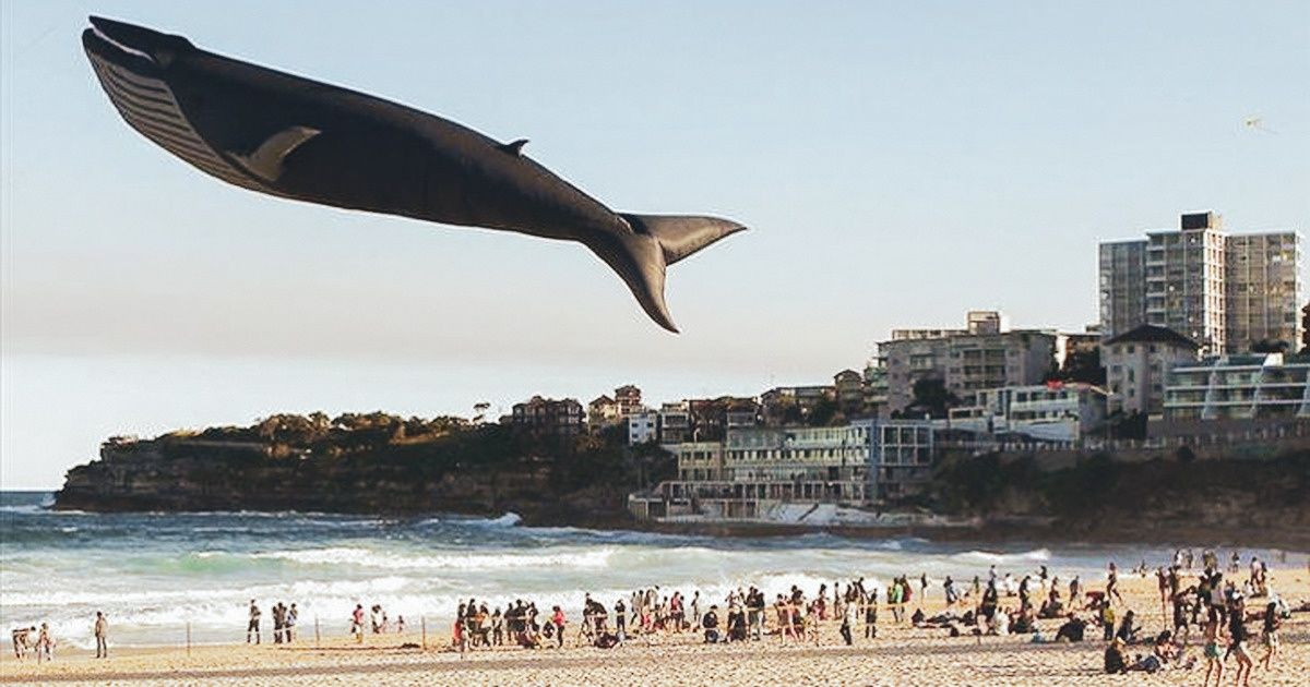 20 Fotos en las que Photoshop no podría haber hecho un mejor trabajo que la naturaleza