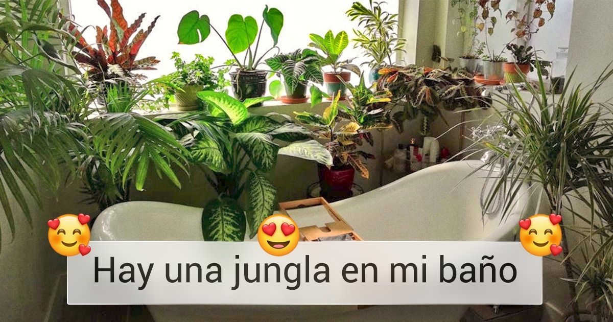 20 Amantes de las plantas que han convertido un espacio especial de su hogar en un hermoso jardín