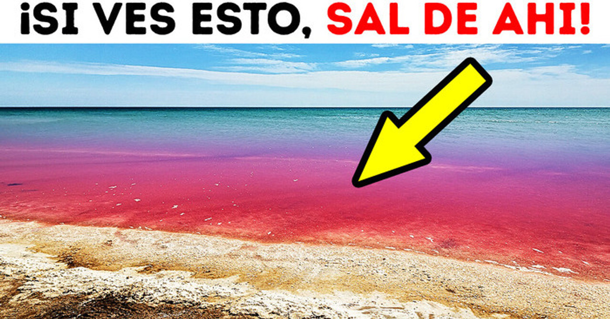 ¡Si ves que el océano está rojo, no entres!