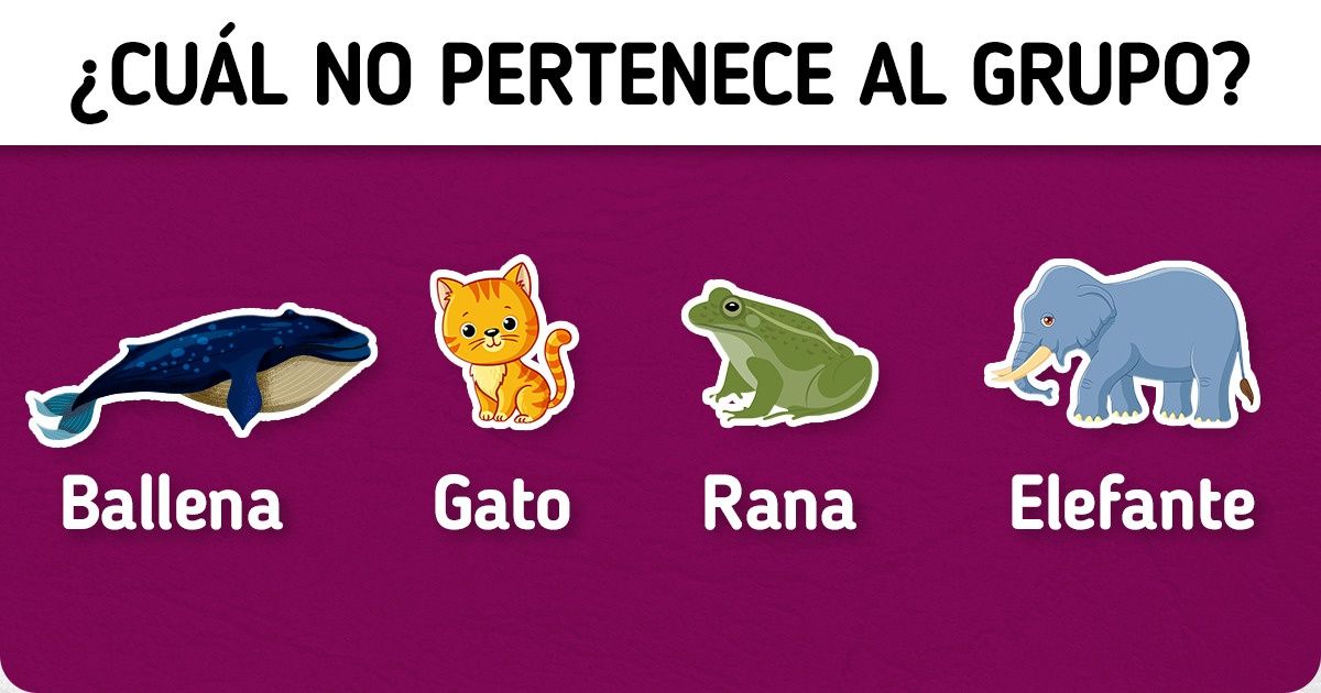 Test: Descubre si eres capaz de encontrar al intruso en el grupo usando la lógica Test: Descubre si eres capaz de encontrar al intruso en el grupo usando la lógica