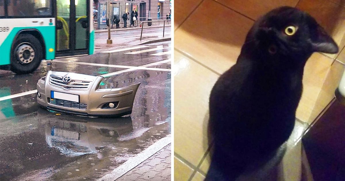 20 Fotos confusas que les jugarán una broma a tus ojos