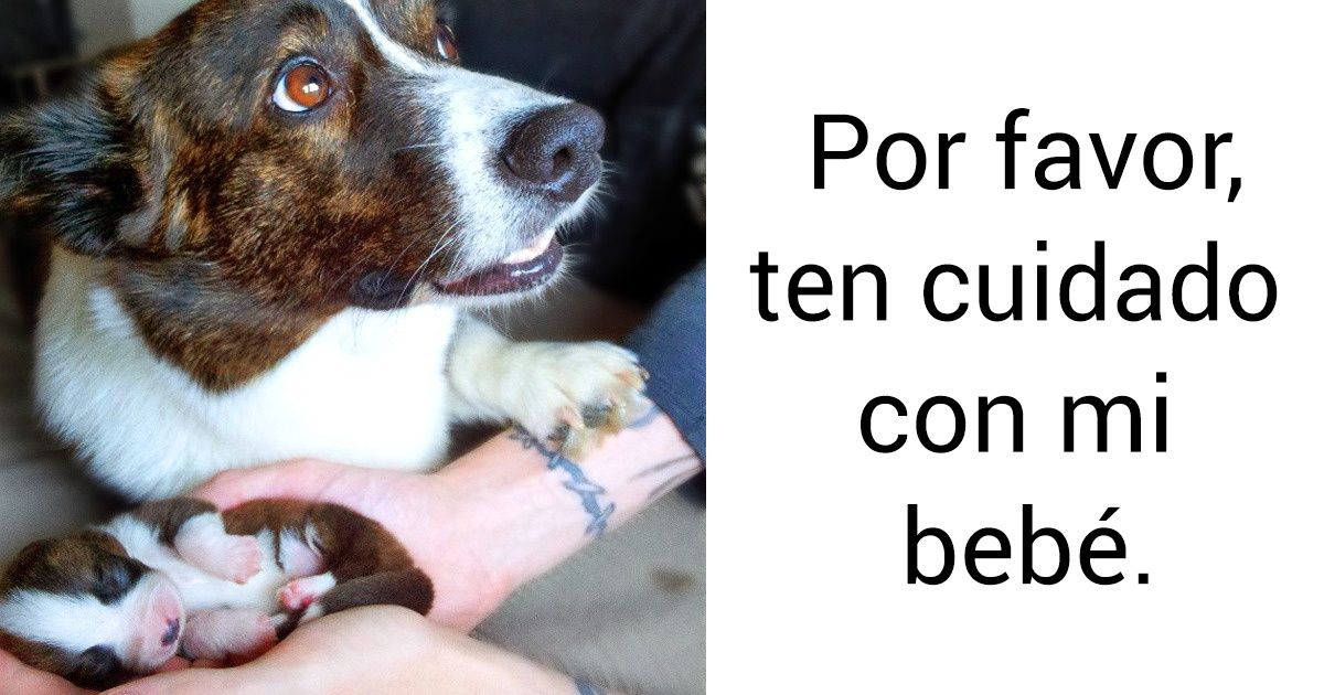 20 Fotos que muestran que el verdadero amor viene en todas las formas y tamaños