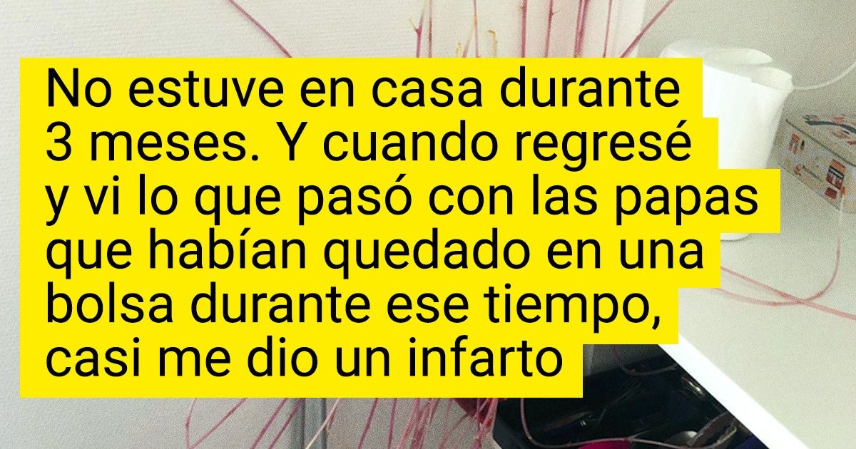 19 Plantas que realmente lograron destacar del resto