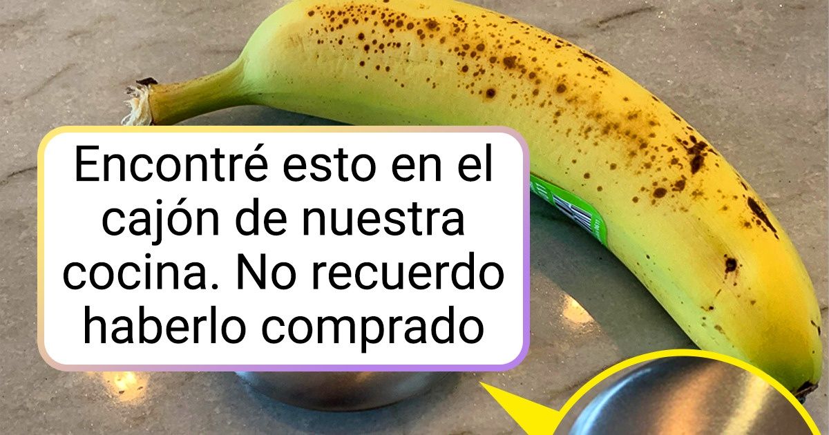 19 Personas que no podían entender qué era esa cosa que encontraron y pidieron “ayuda de la audiencia” 19 Personas que no podían entender qué era esa cosa que encontraron y pidieron “ayuda de la audiencia”