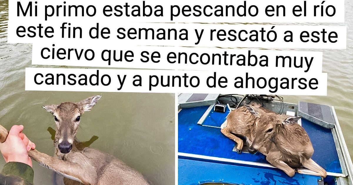 19 Personas que son una prueba de la infinita bondad que cabe en los seres humanos 19 Personas que son una prueba de la infinita bondad que cabe en los seres humanos