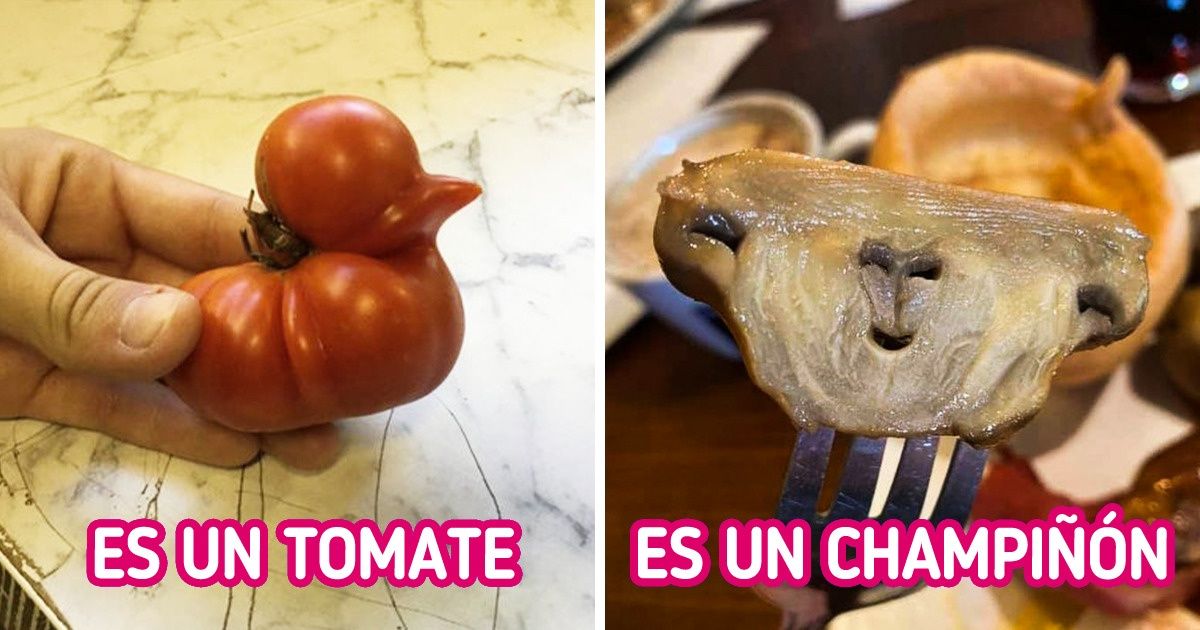 19 Frutas y verduras con formas tan inusuales que podrían ser expuestas en un museo 19 Frutas y verduras con formas tan inusuales que podrían ser expuestas en un museo