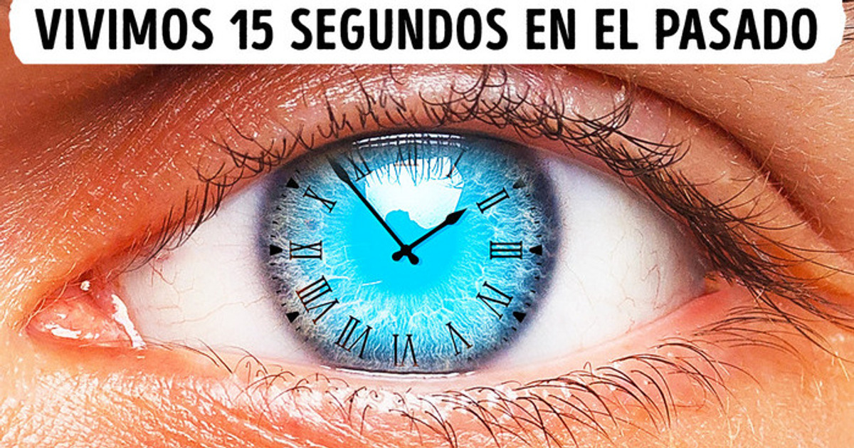 Nuestro cerebro nos mantiene 15 segundos en el pasado + 12 datos increíbles sobre el cuerpo humano