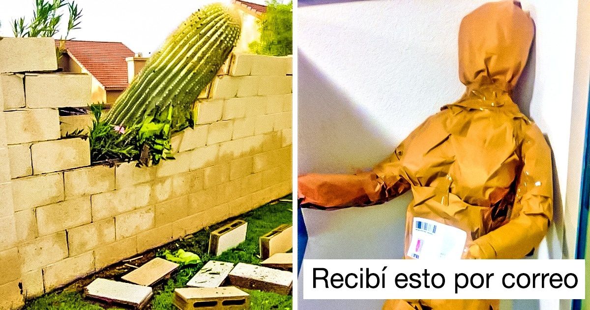 21 Imágenes absurdas que aún nos cuesta entender