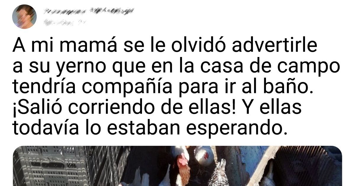 20+ Pruebas de que la vida afuera de la ciudad es otro mundo con sus matices y estilo 20+ Pruebas de que la vida afuera de la ciudad es otro mundo con sus matices y estilo