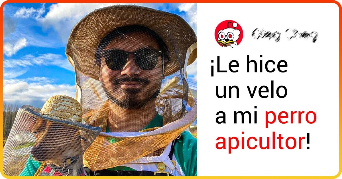 21 Pruebas de que en materia de diversión, nada tiene que envidiarle el campo a la ciudad