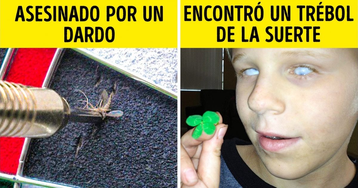 20 Cosas excepcionales que solo verás una vez en la vida