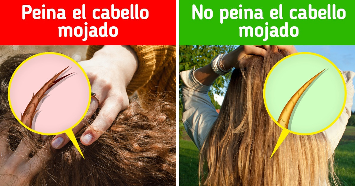 10 Errores en el cuidado del cabello que podrían explicar por qué las puntas se dividen 10 Errores en el cuidado del cabello que podrían explicar por qué las puntas se dividen