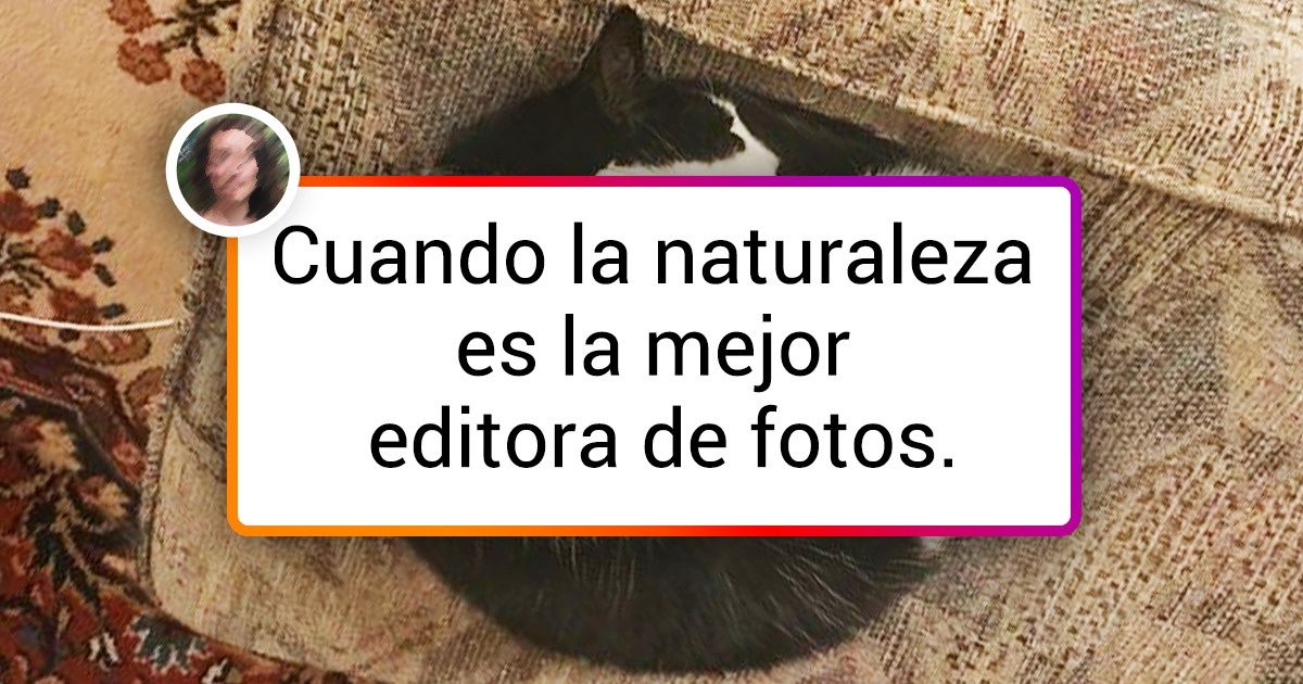 20+ Animales en cuya creación la naturaleza exageró un poco 20+ Animales en cuya creación la naturaleza exageró un poco
