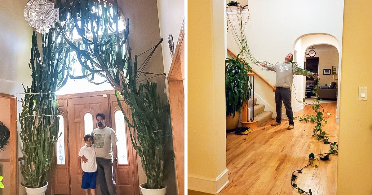 20+ Personas que tienen buena mano para las plantas y no dudaron en comprobarlo 20+ Personas que tienen buena mano para las plantas y no dudaron en comprobarlo
