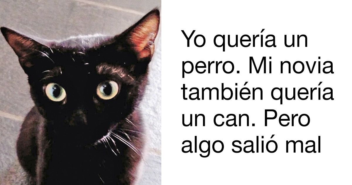 En la vida, no todo va siempre como se planeó, y aquí están las pruebas evidentes que lo confirman