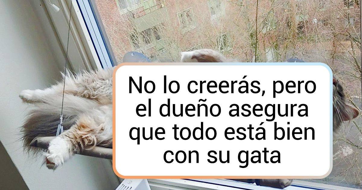 20+ Animales que en algún punto asombran con su forma de comportarse 20+ Animales que en algún punto asombran con su forma de comportarse