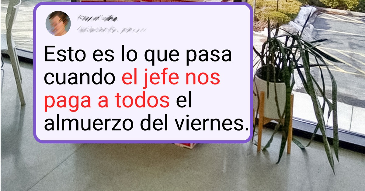 20+ Fotos del trabajo que muestran que en cada oficina hay un ambiente único y especial