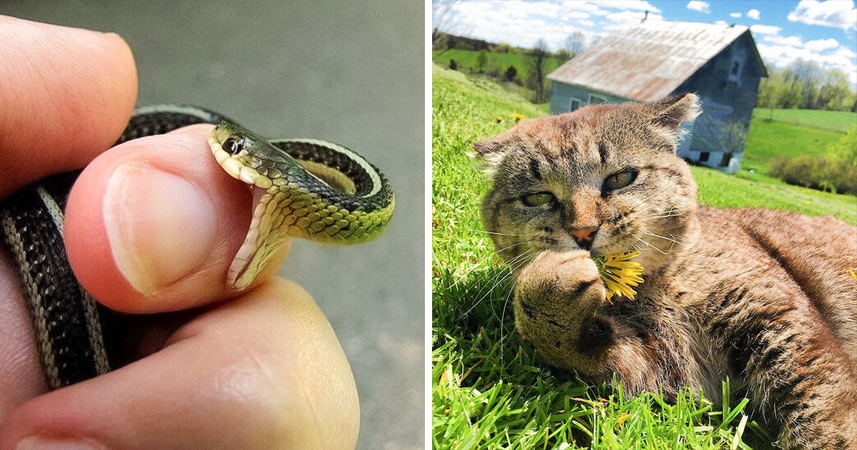 Si estás de mal humor, olvídate de todo y solo mira estas 20 fotos llenas de ternura