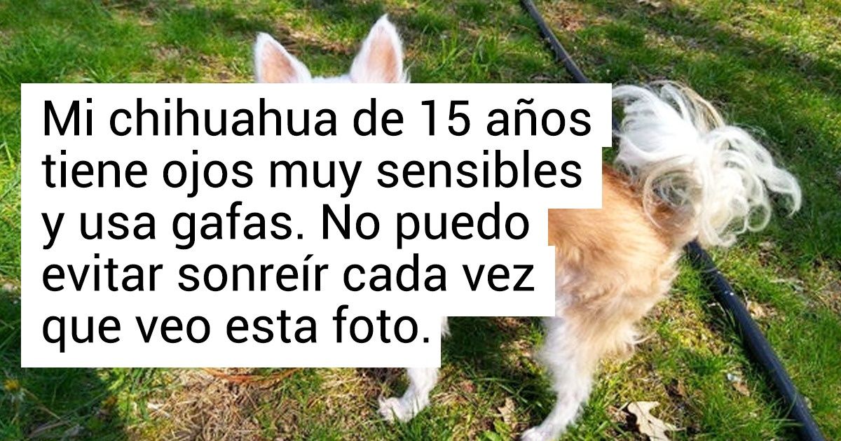 18 Momentos alegres que vivieron los usuarios de la red este mes (y nos hicieron sonreír de oreja a oreja) 18 Momentos alegres que vivieron los usuarios de la red este mes (y nos hicieron sonreír de oreja a oreja)