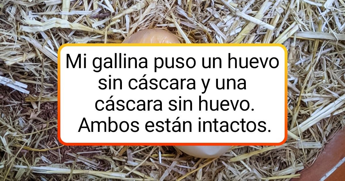 13 Fotos que demuestran que el mundo es cada día más milagroso 13 Fotos que demuestran que el mundo es cada día más milagroso