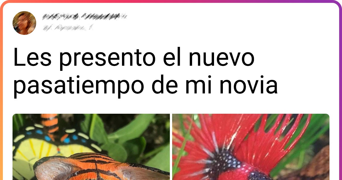 18 Mujeres tan habilidosas en sus pasatiempos que sus familias no dudaron en compartir sus creaciones