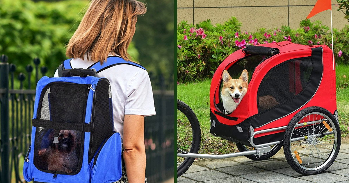 20 Artículos pensados para sacarle el mayor provecho al tiempo compartido con las mascotas 20 Artículos pensados para sacarle el mayor provecho al tiempo compartido con las mascotas