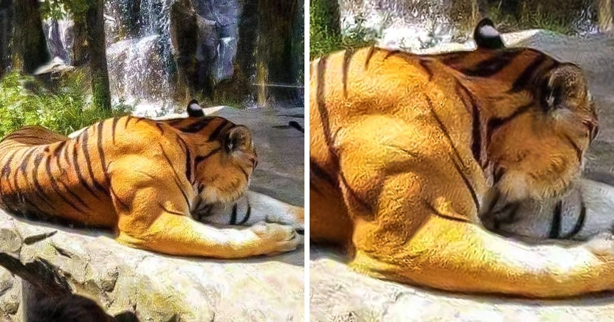 21 Hallazgos extraños que tendrás ganas de ver más de cerca