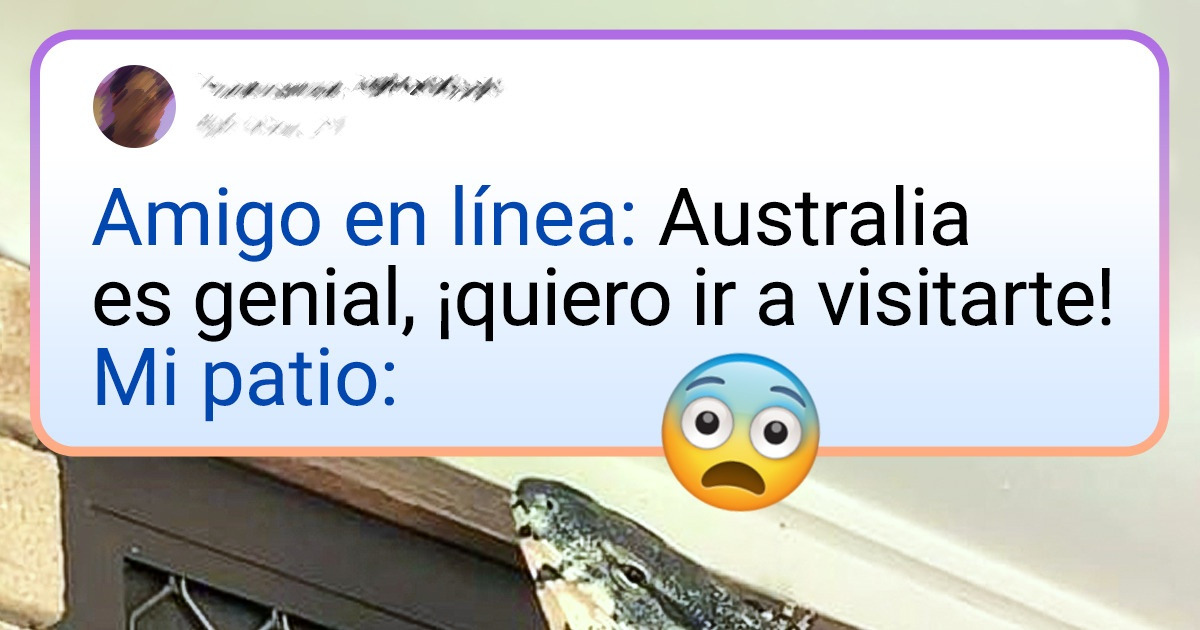 21 Ejemplos de que no se necesita salir del patio para ver cosas extraordinarias