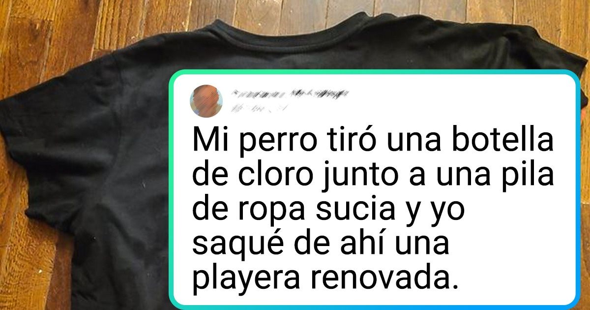 15 Situaciones en las que pequeñas obras maestras fueron creadas por casualidad 15 Situaciones en las que pequeñas obras maestras fueron creadas por casualidad