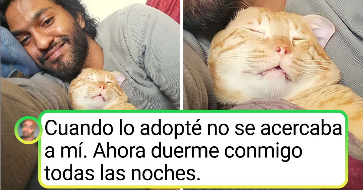 23 Personas y sus mascotas, que además de fieles amigas parecen almas gemelas