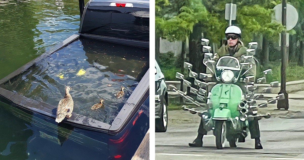 20 Situaciones que nadie creería si no hubieran sido captadas por la cámara