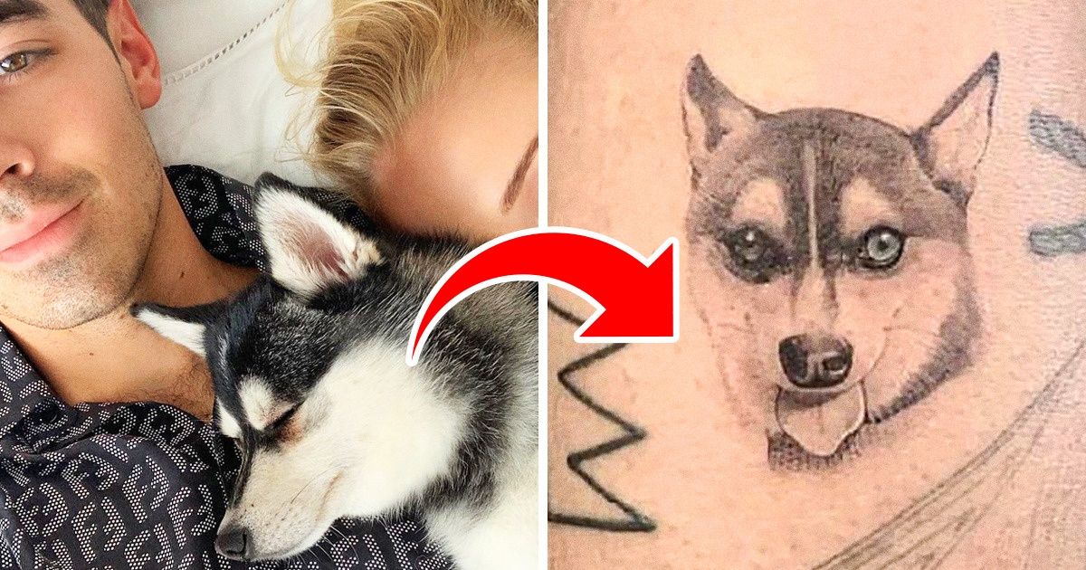 10 Famosos que homenajearon a sus mascotas con un tatuaje (y por qué lo hicieron) 10 Famosos que homenajearon a sus mascotas con un tatuaje (y por qué lo hicieron)