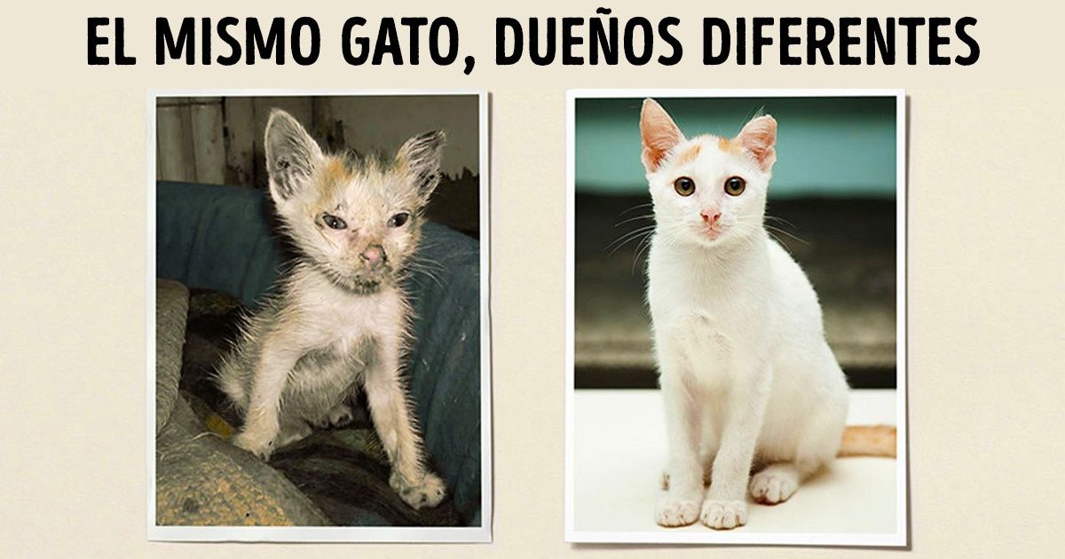 15 Ejemplos de cómo hay que hacer publicidad social