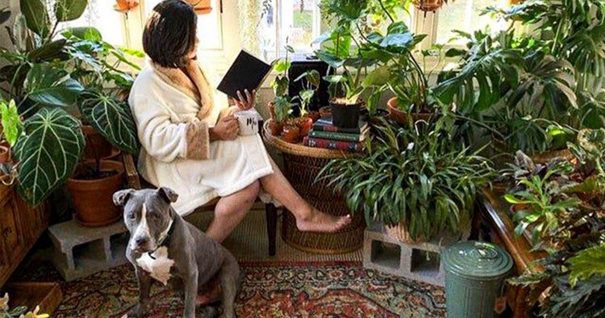 22 Usuarios de Reddit compartieron fotos de su acogedor jardín interior, y mirándolas queremos empezar a hacer lo mismo 22 Usuarios de Reddit compartieron fotos de su acogedor jardín interior, y mirándolas queremos empezar a hacer lo mismo