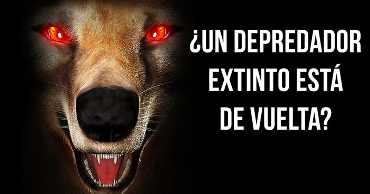 Por qué la desextinción es imposible (pero igual podría funcionar)