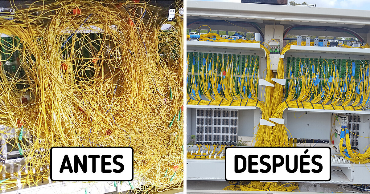 15+ Curiosas imágenes capaces de deleitar tu vista