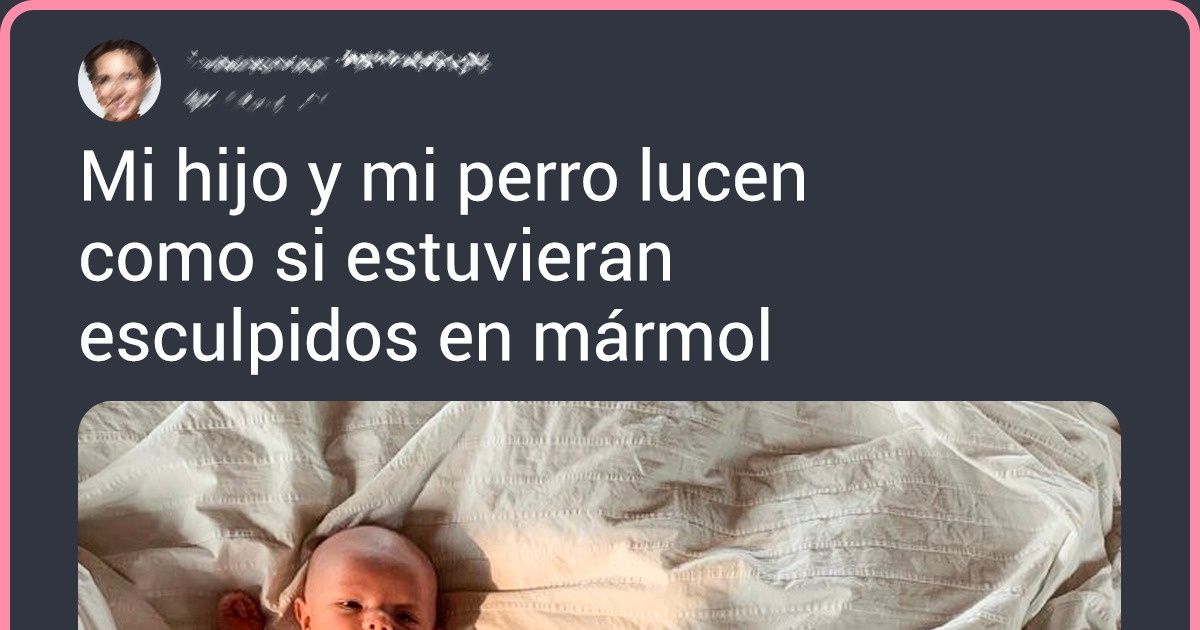18 Fotos de mascotas que podrían enmarcarse para ser exhibidas en célebres museos