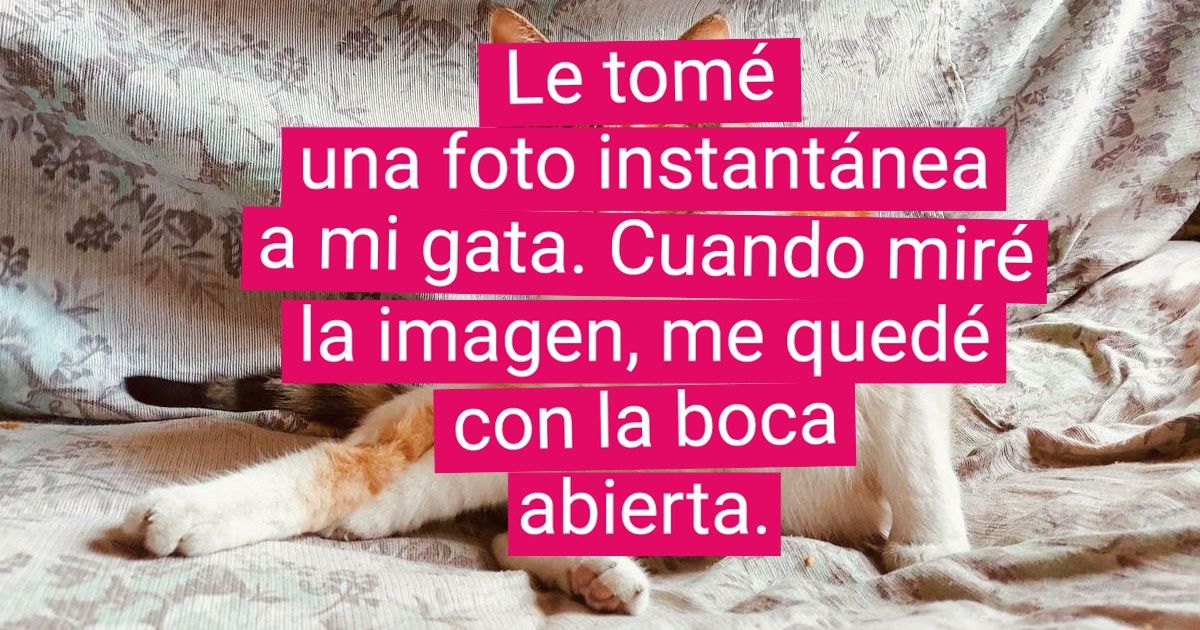 19 Fotos que deberían haber sido simples imágenes, pero que resultaron ser “obras maestras del Renacimiento”