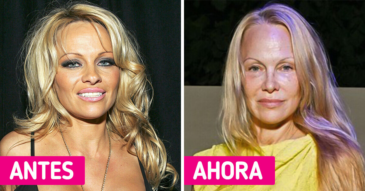 Por qué Pamela Anderson vendió su casa de 11,8 millones de dólares para vivir sola con 5 perros Por qué Pamela Anderson vendió su casa de 11,8 millones de dólares para vivir sola con 5 perros