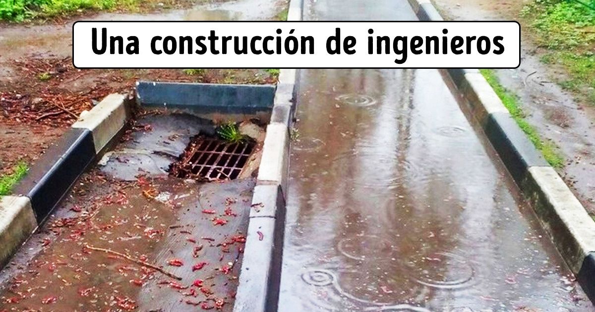 24 Evidencias de que las cosas absurdas están por todos lados