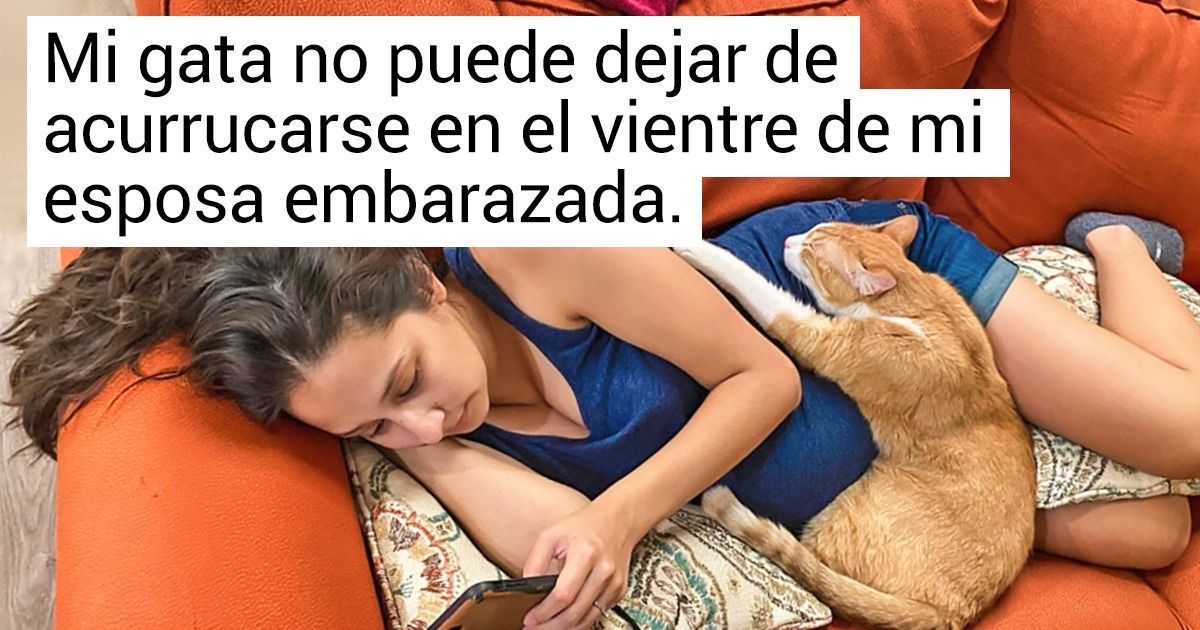 19 Mascotas que regalaron lo mejor de lo mejor a sus dueños, el amor incondicional