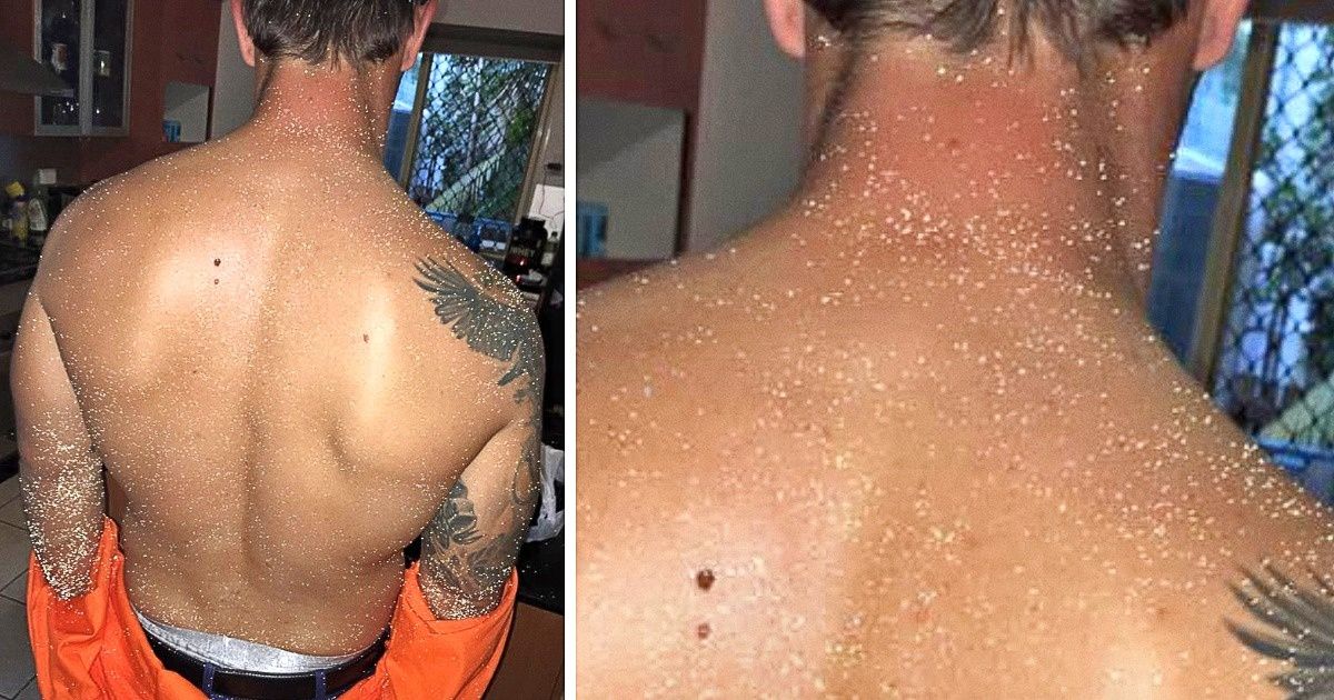 24 Hallazgos que podrían volver locos a los más curiosos