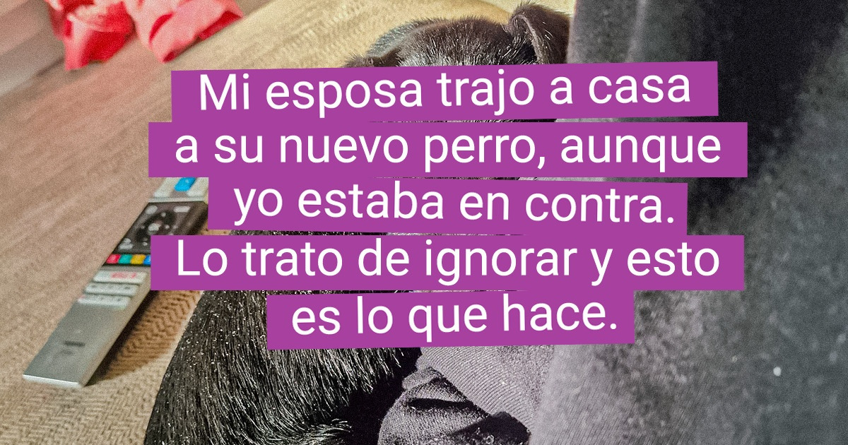 15 Esponjosos tan lindos que podrían derretir hasta el corazón del Grinch