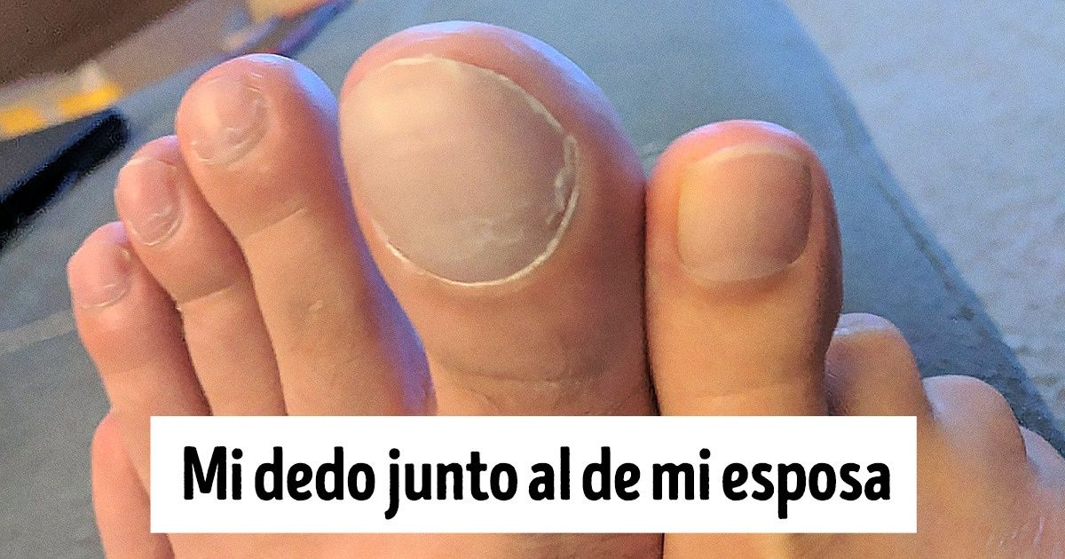 15 Momentos en los que las personas decidieron hacer comparaciones y poner a volar su mente