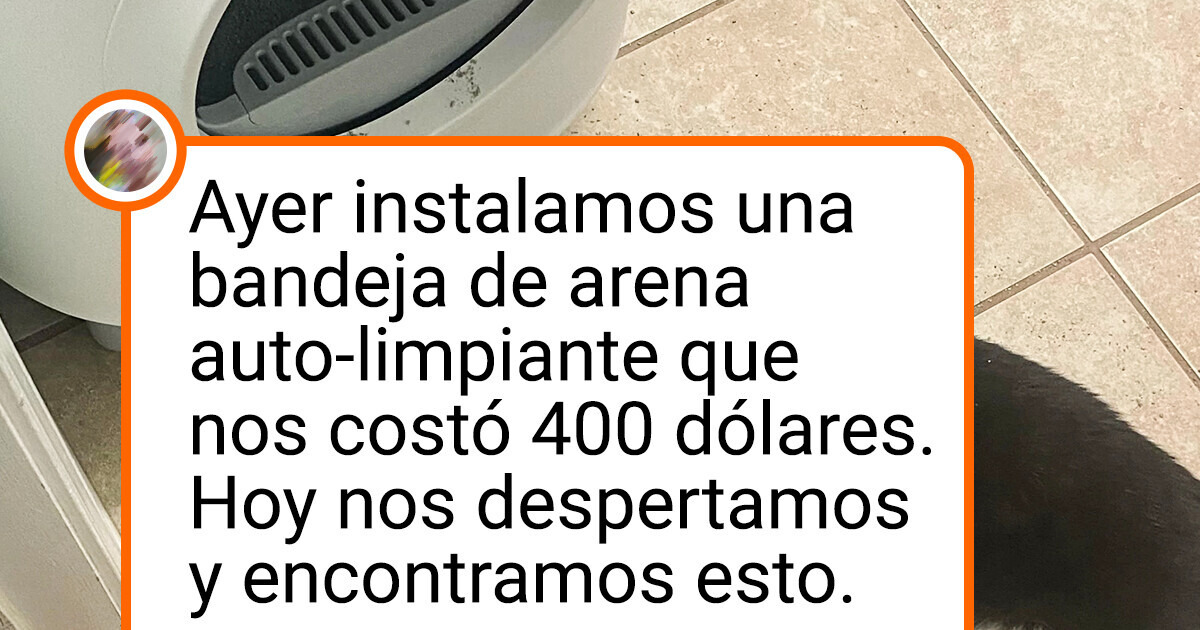 20+ Mascotas traviesas que llevan a sus dueños al borde de un colapso nervioso